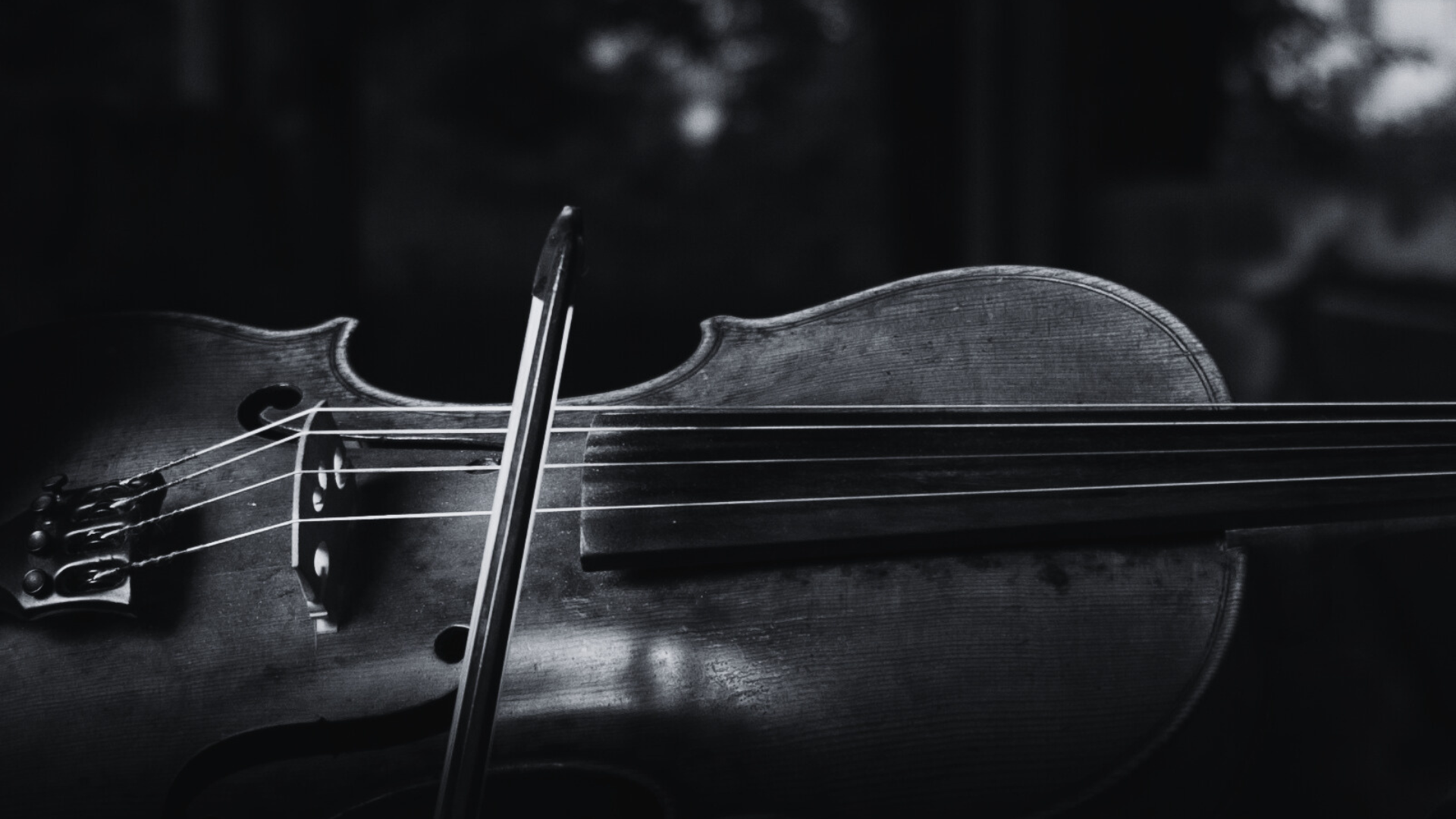 viola https://gbsptuj.si/wp-content/uploads/2026/02/viola-1.png