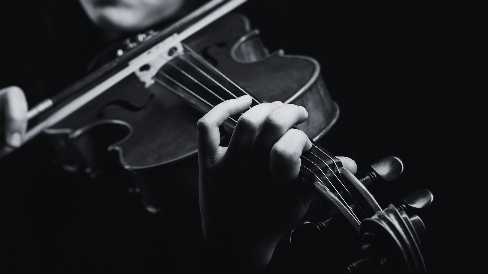 violina https://gbsptuj.si/wp-content/uploads/2026/02/violina-2.png